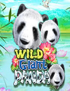 วิธีเล่น สล็อต เติม 20 รับ 100 ให้มันส์สุดเหวี่ยง!